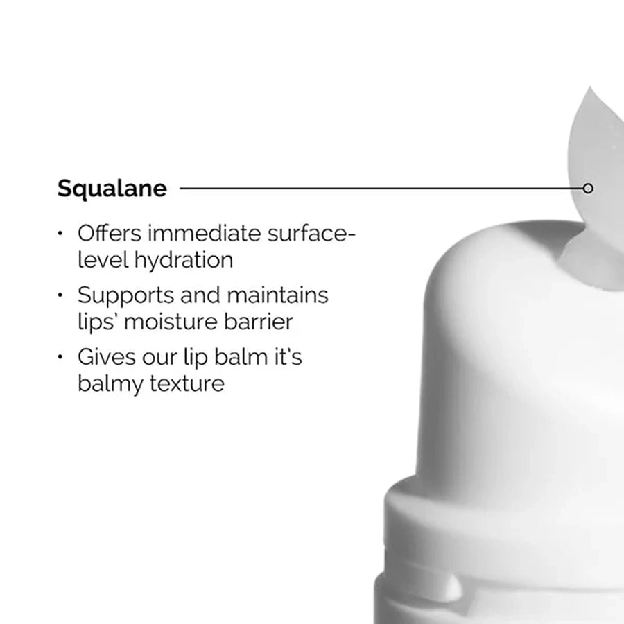 Squalane + amino acids hydrating lip balm